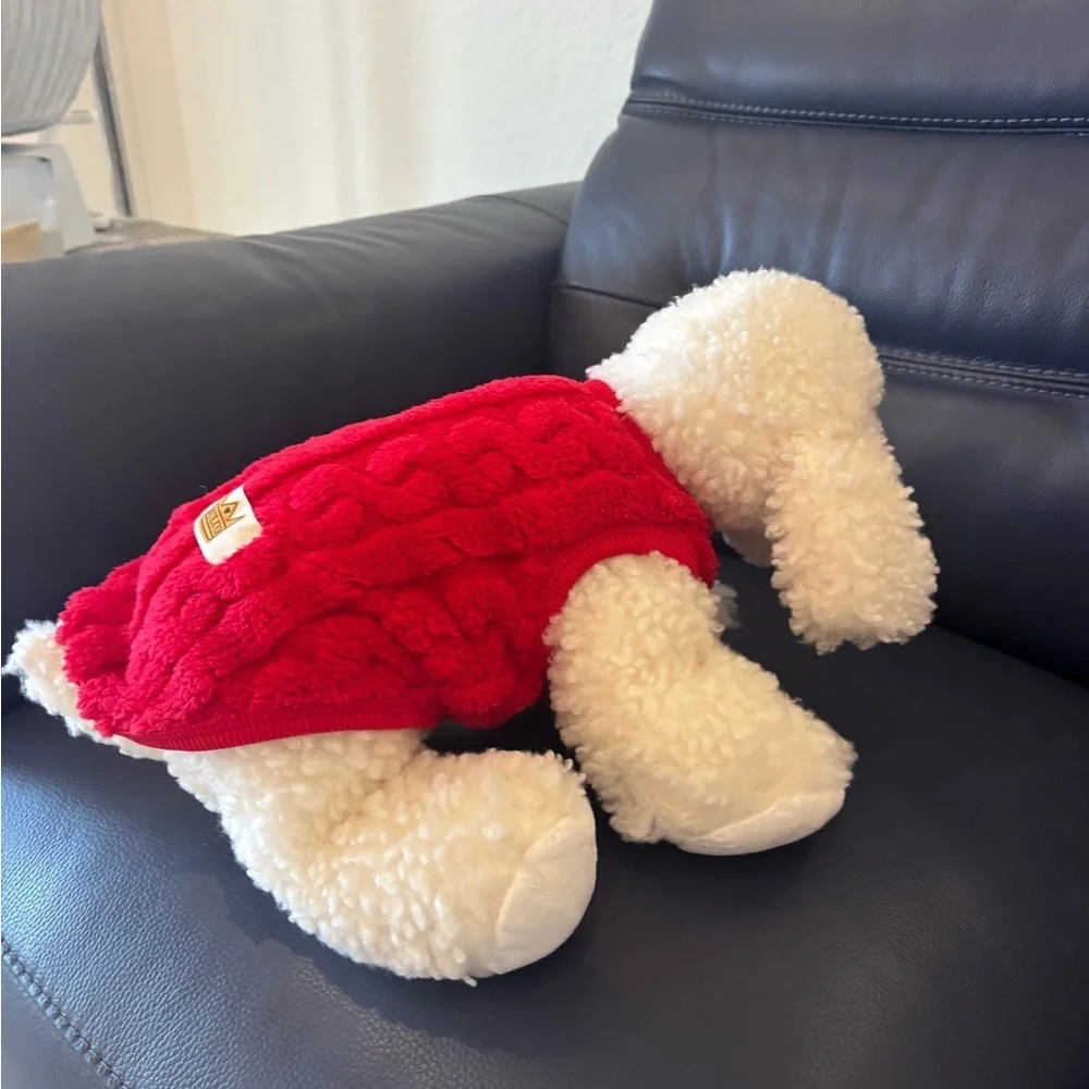 Red Dog Sweater for Pets